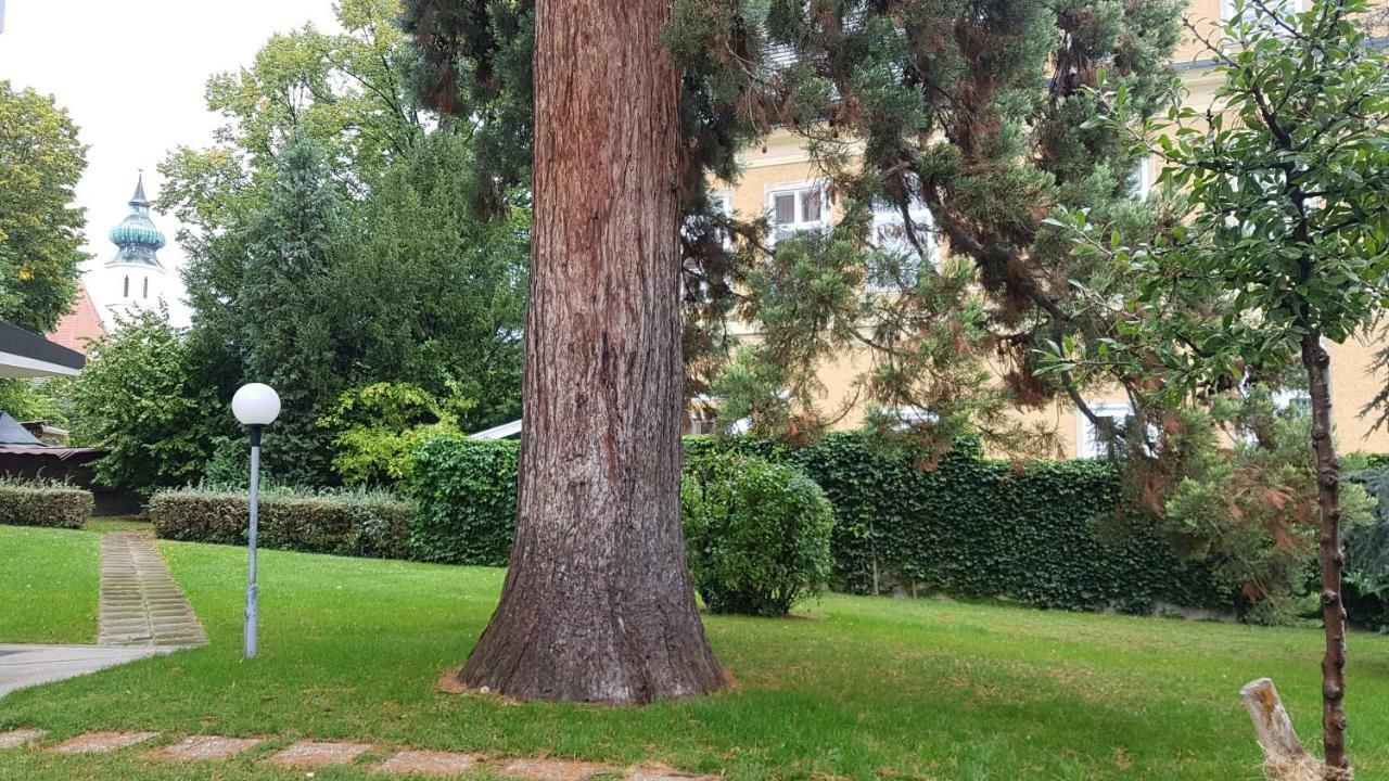 Apartmán Gem Of Midcentury Design Vídeň Exteriér fotografie